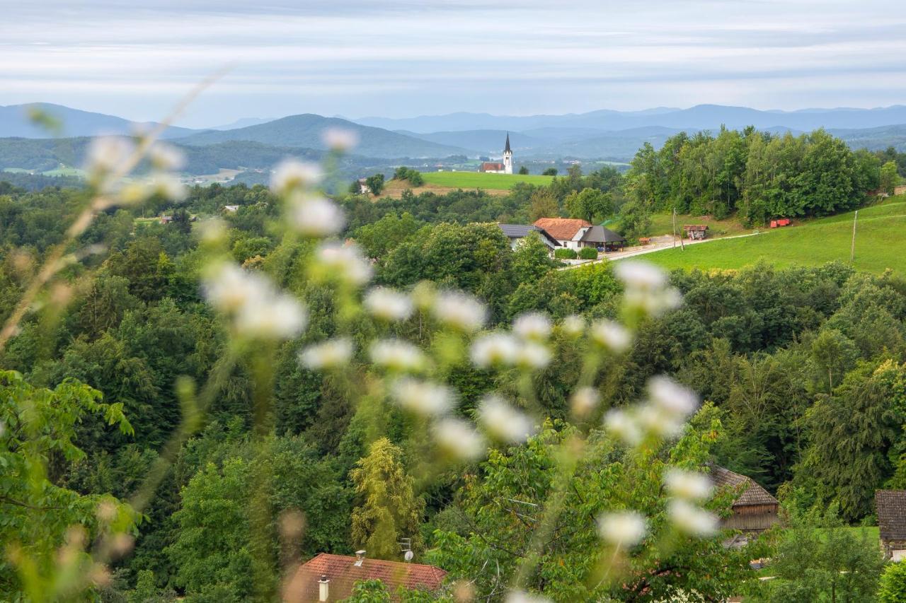 Villa Domacija Vesel Trebnje Esterno foto