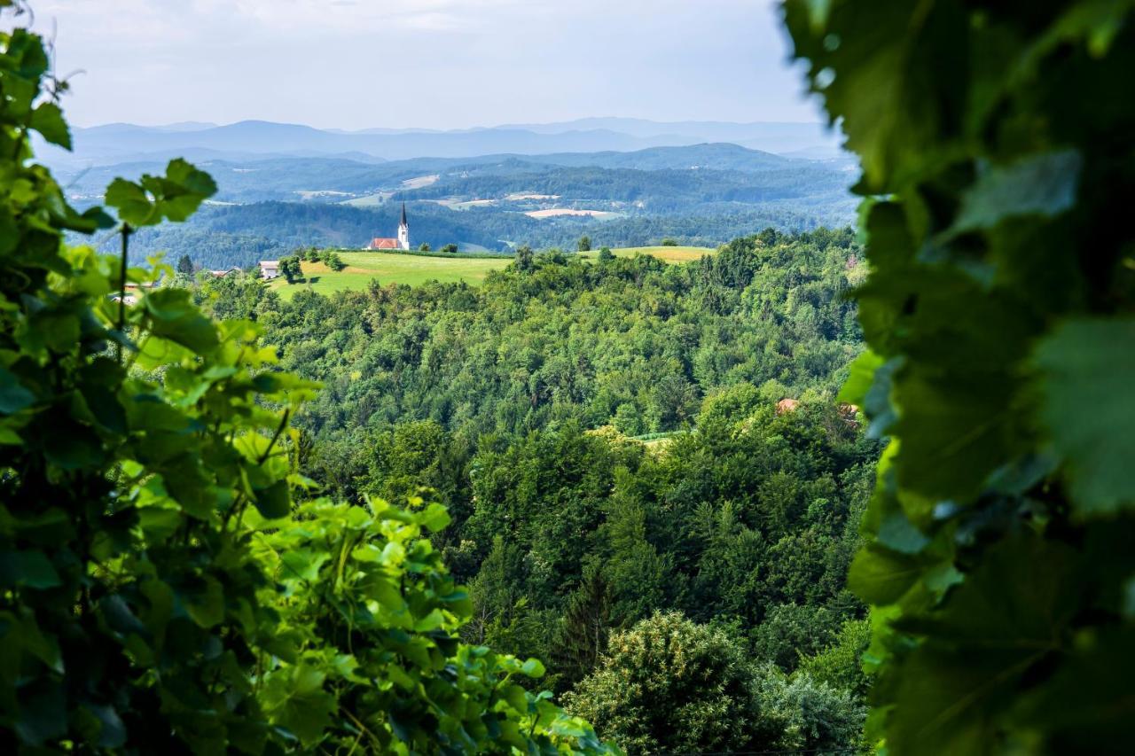 Villa Domacija Vesel Trebnje Esterno foto