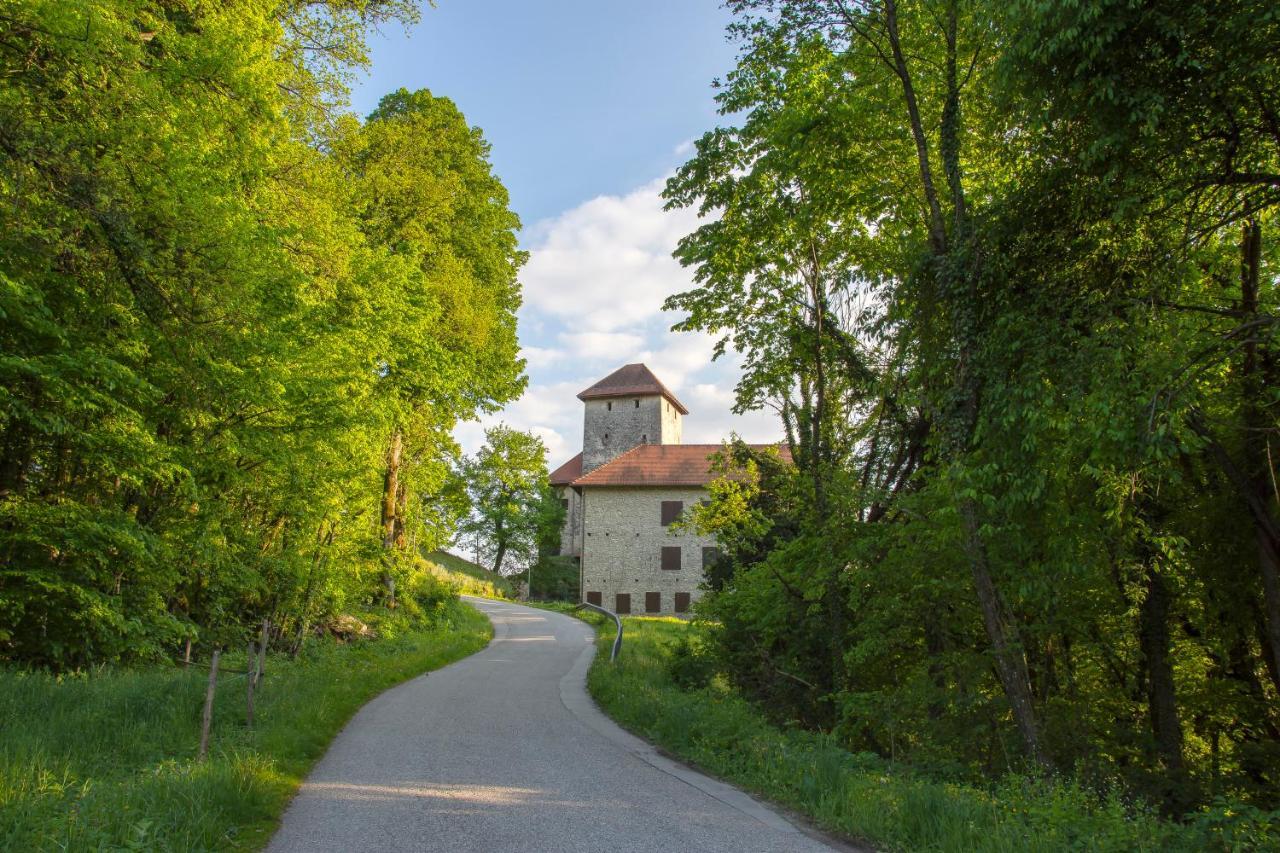 Villa Domacija Vesel Trebnje Esterno foto