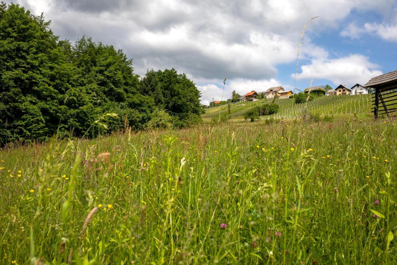 Villa Domacija Vesel Trebnje Esterno foto