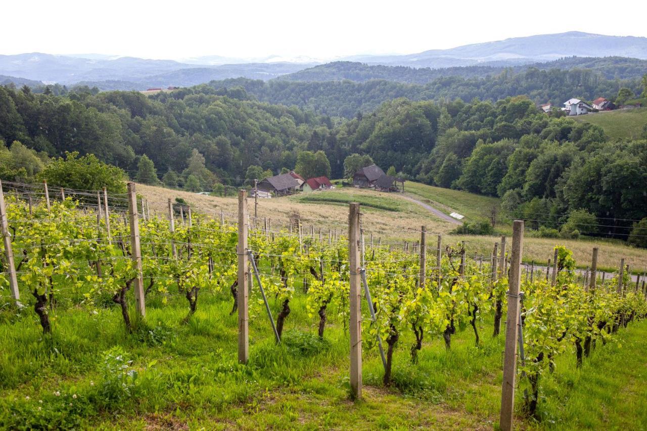 Villa Domacija Vesel Trebnje Esterno foto